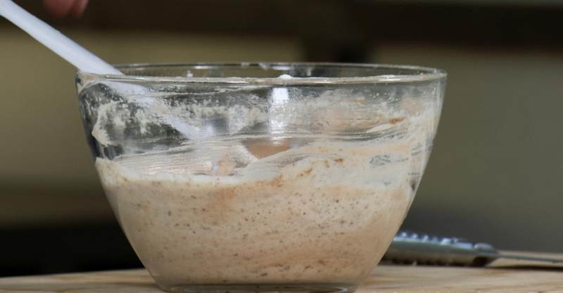 ПП-Шарлотка белковая